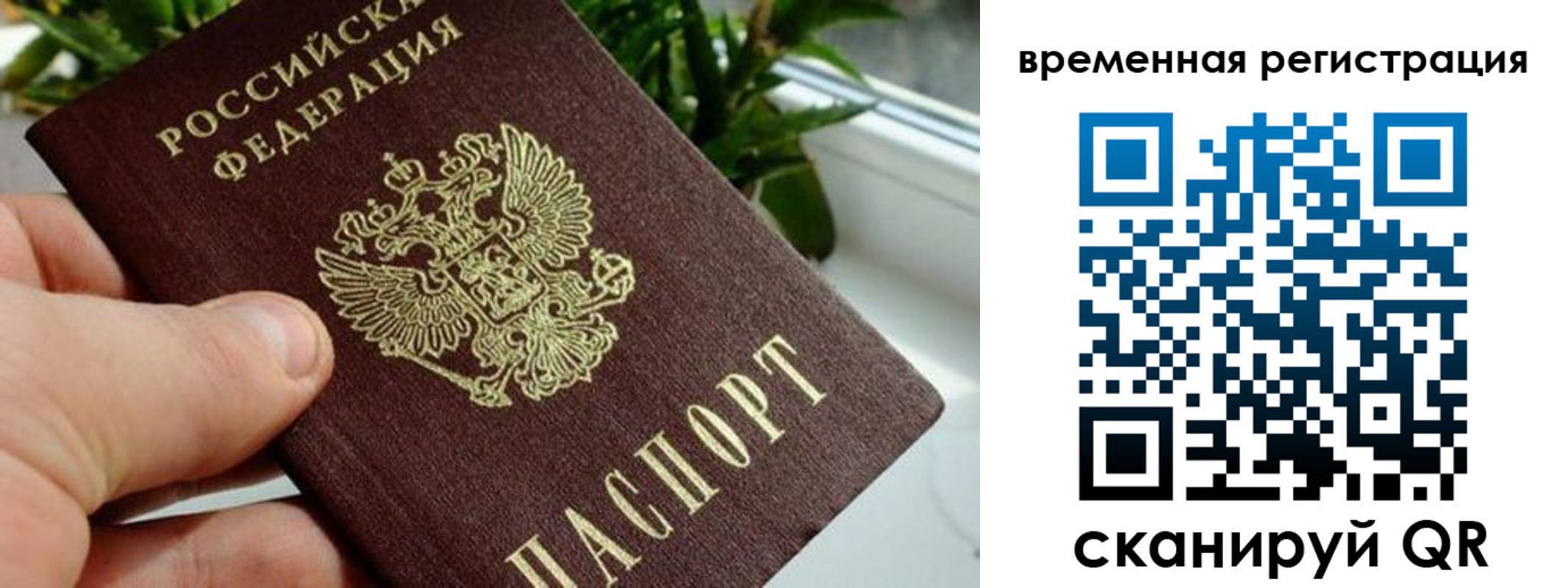 прописка поиск в Новом Уренгое